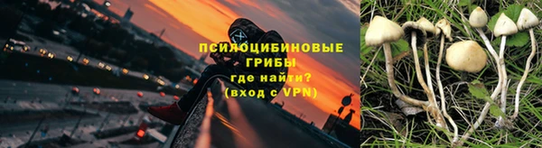 спиды Баксан