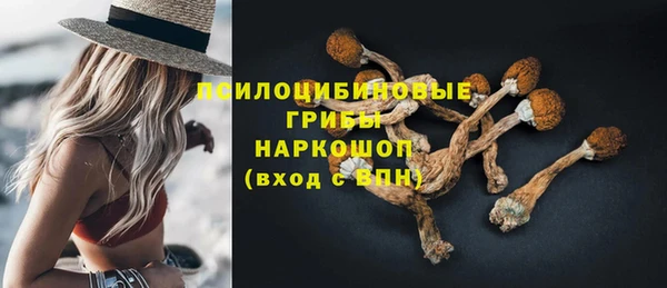 спиды Баксан